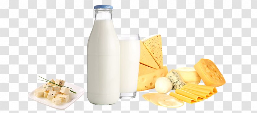 Dairy Products Lactose - Fiction Plant Milk Transparent PNG