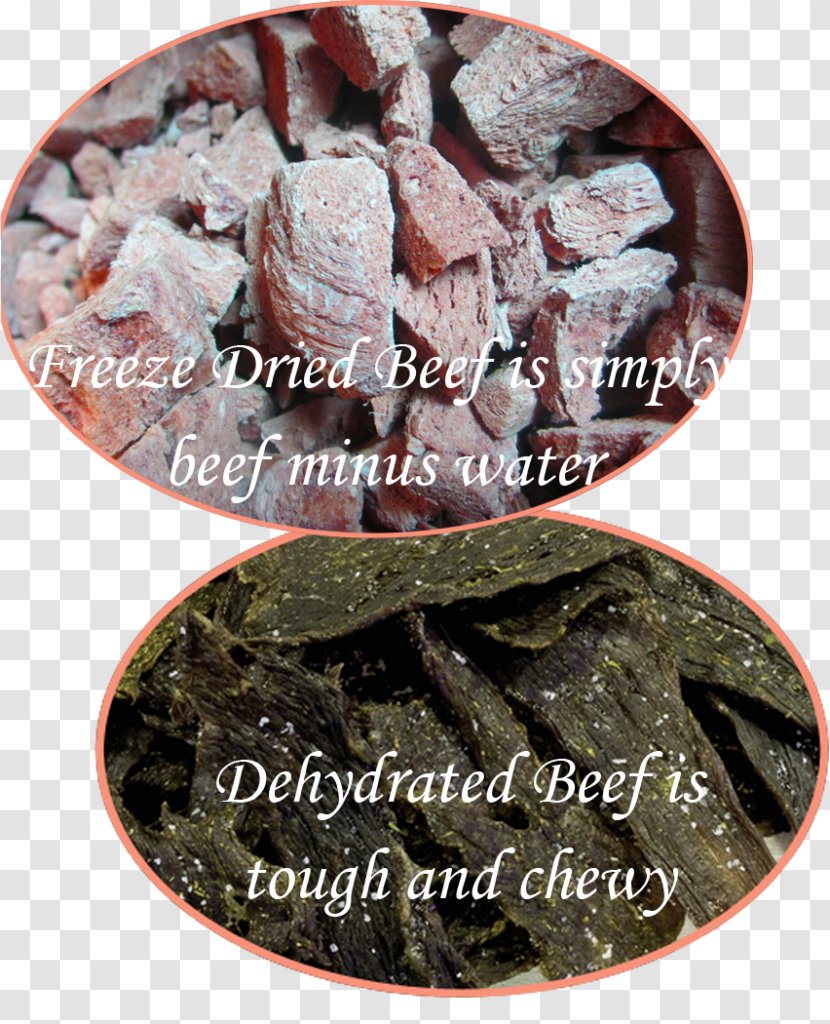 Freeze-drying Food Drying Dried Meat - Freezedrying - Freeze Transparent PNG