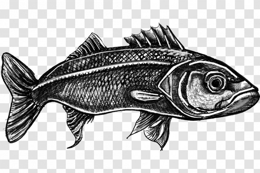 Fish Products Sesimbra Swordfish Black Scabbardfish - Largehead Hairtail Transparent PNG