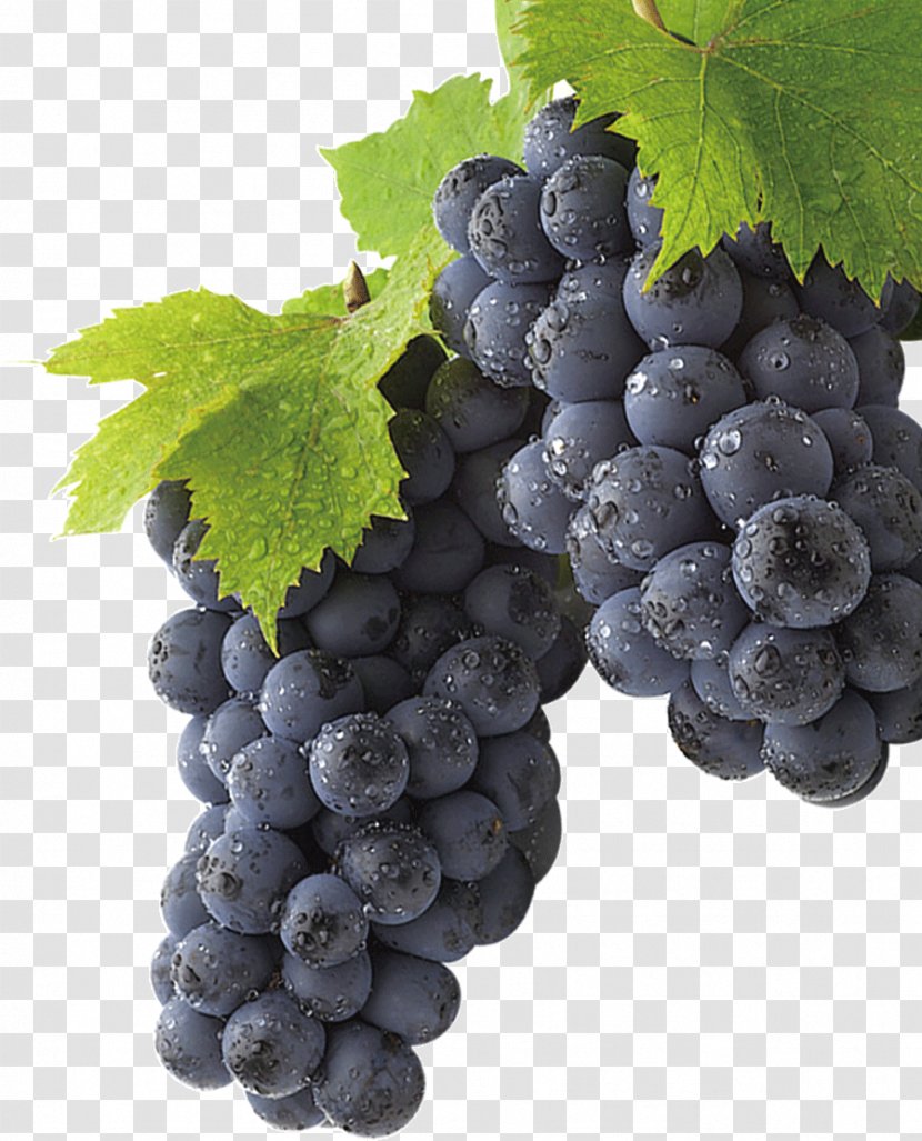 Grape Huyi District Download - Grapevines Transparent PNG