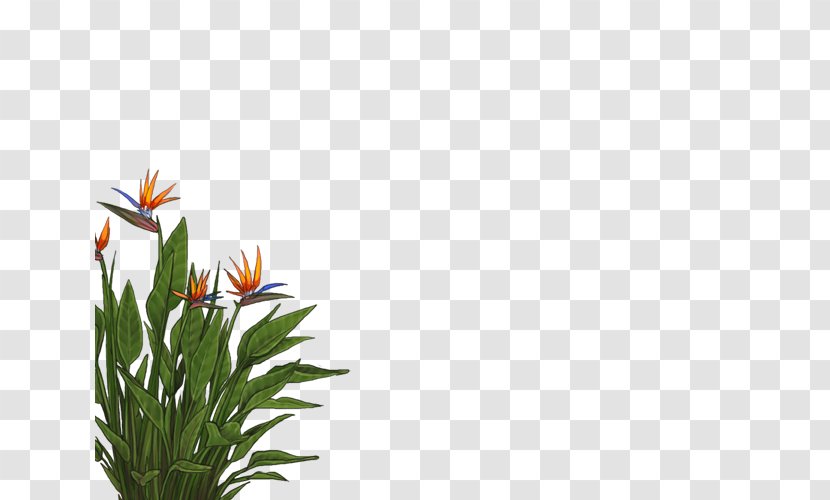 Floral Design Leaf Plant Stem Orange S.A. - Flora - Lion Cricut Transparent PNG