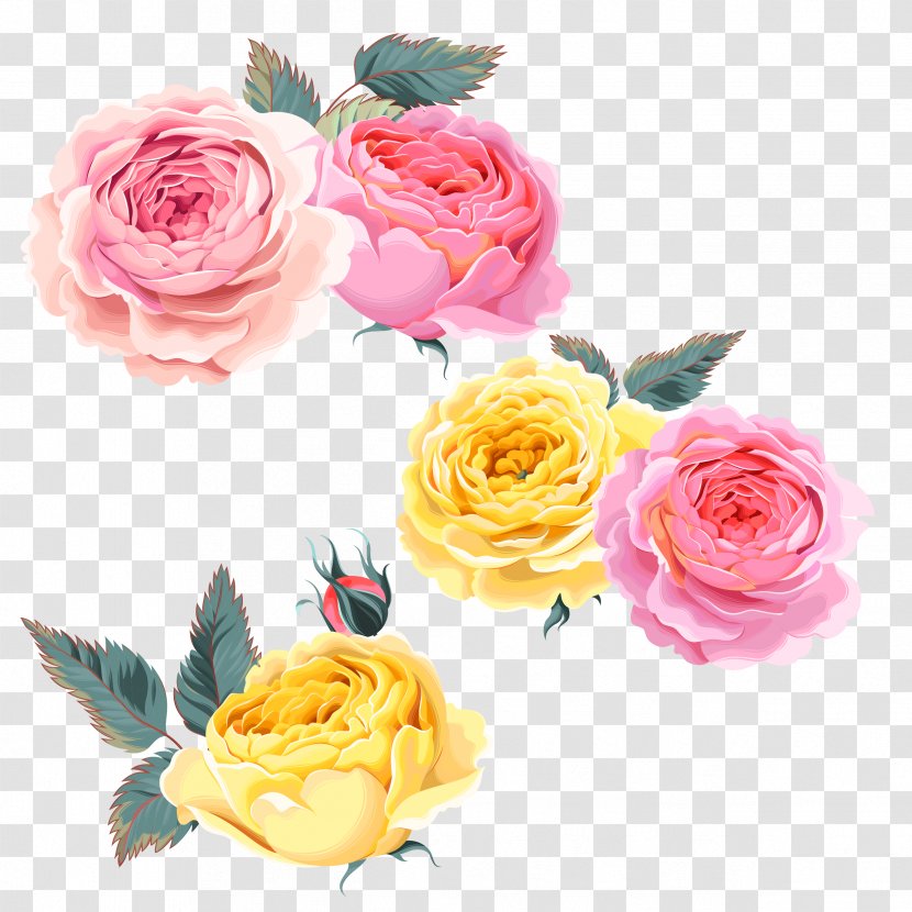 Beach Rose Pink Yellow Computer File - Family - Rose,Pink Roses,Yellow Transparent PNG