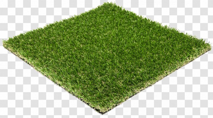 Artificial Turf Trulawn Paspalum Vaginatum Garden - Lawn Transparent PNG