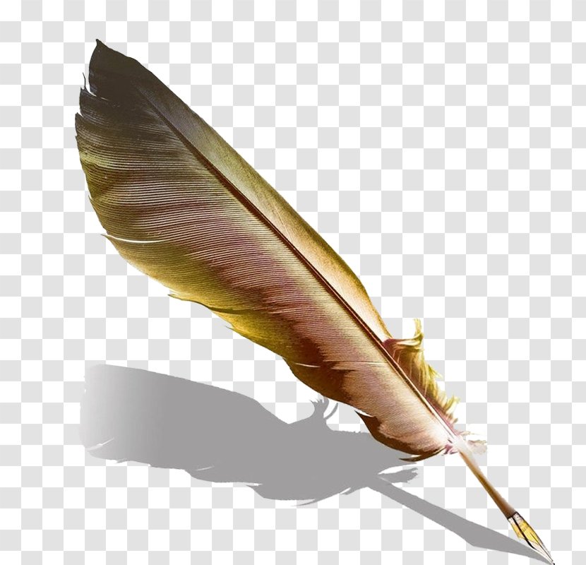 Quill Fountain Pen Feather Transparent PNG