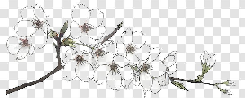 Flower Line - Flora - Plum Transparent PNG