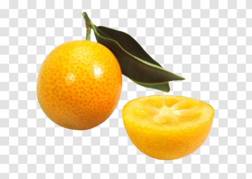 Clementine Tangerine Volkamer Lemon Kumquat - Citrus - Delicious Picture Material Transparent PNG