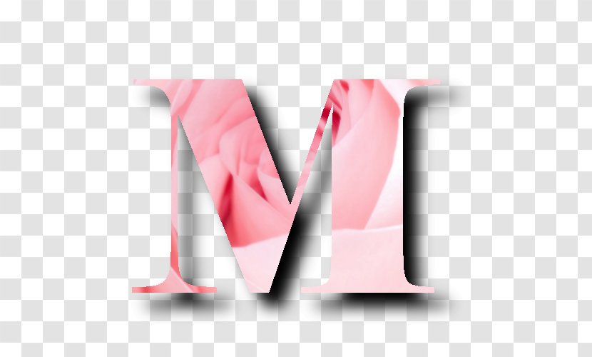 Brand Pink M - Multiscale Camouflage Transparent PNG