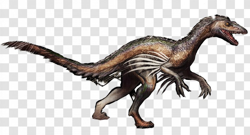 Velociraptor Troodon ARK: Survival Evolved Tyrannosaurus Pegomastax - Cretaceous - Dinosaur Transparent PNG