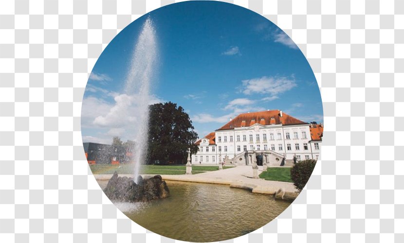 Bavarian International School Schloss Haimhausen Education - Mathletics Transparent PNG