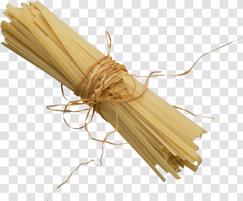 Pasta Lo Mein Noodle Macaroni - Insect Transparent PNG
