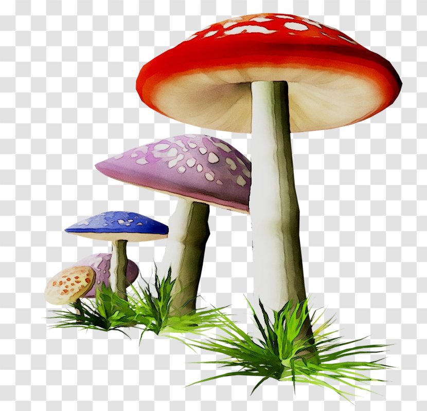 Product Design Mushroom - Botany - Grass Transparent PNG