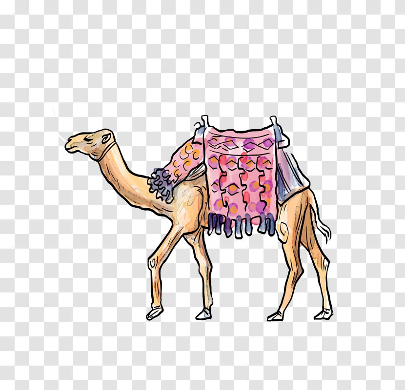 Camel Cartoon - Mammal - Hand-painted Transparent PNG