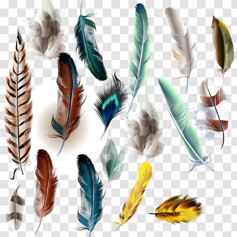Bird Feather Watercolor Painting Illustration - Stockxchng - Vector Decoration Transparent PNG