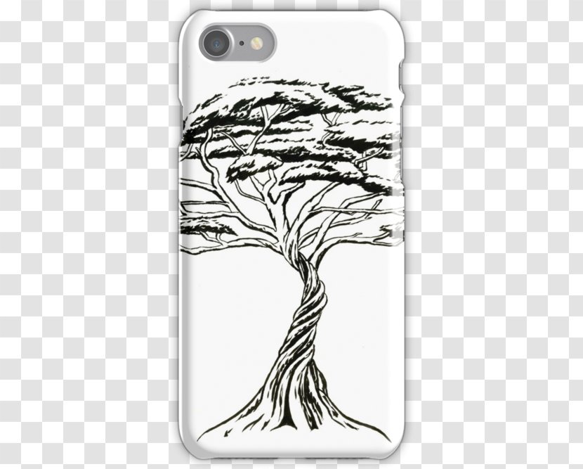 Bonsai Drawing Tree Vachellia Drepanolobium Tortilis - Iphone Illustration Transparent PNG