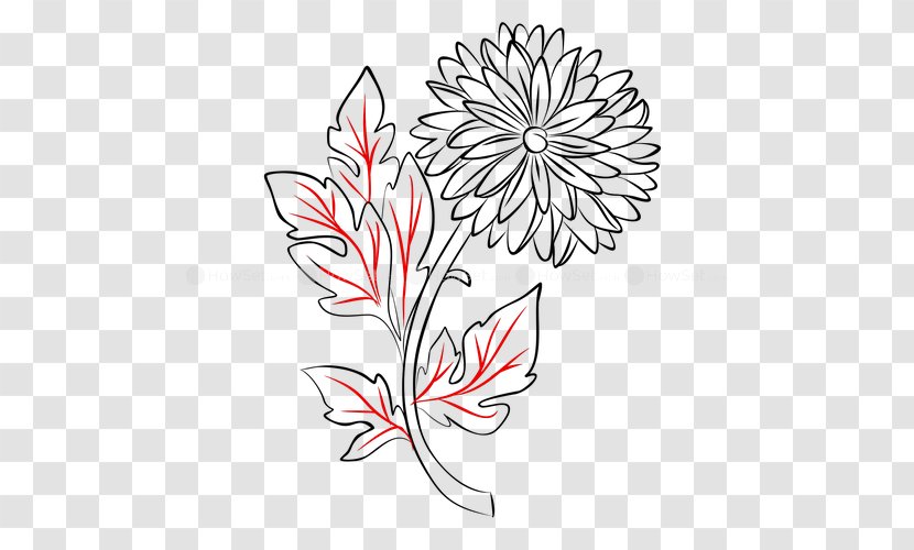 Floral Design Chrysanthemum Manual Of The Mustard Seed Garden Line Art Drawing - Flower Transparent PNG