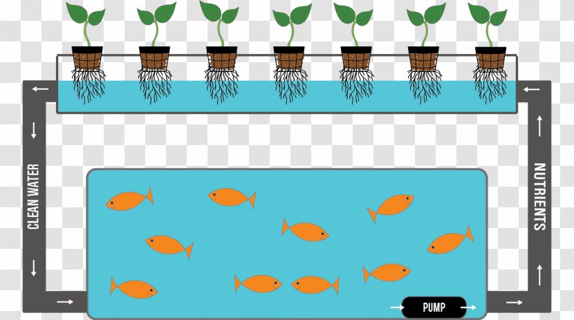 Hydroponics Nutrient Product Reuse Waste - Rectangle - Hydroponic Farming System Fish Transparent PNG