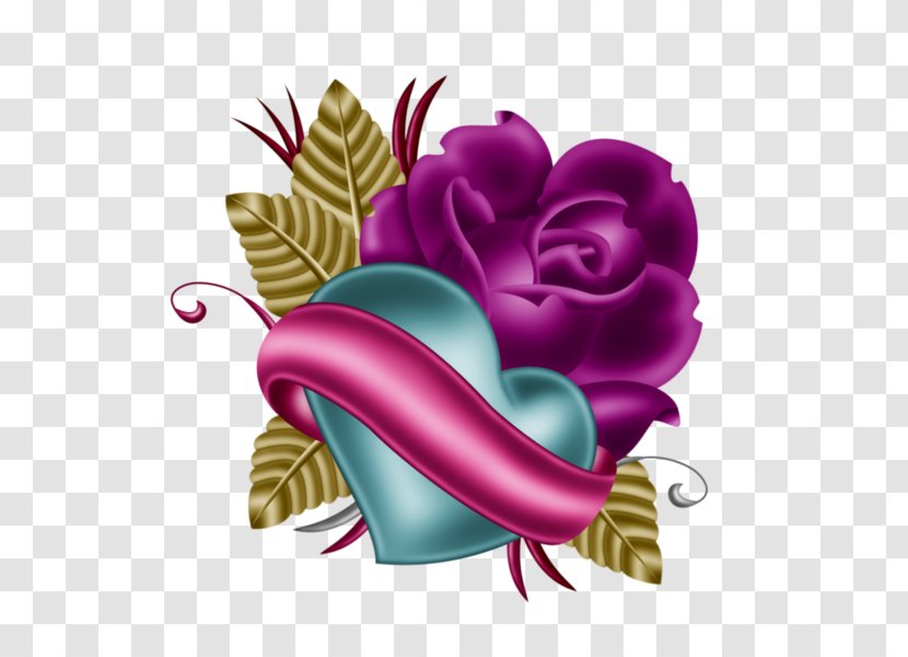 Garden Roses Purple Clip Art - Magenta Transparent PNG