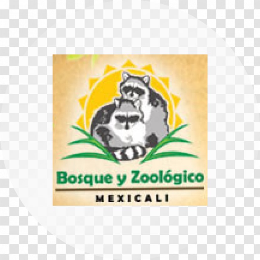 Bosque De La Ciudad Avenida Sahuaros Logo Brand Font - Africam Transparent PNG