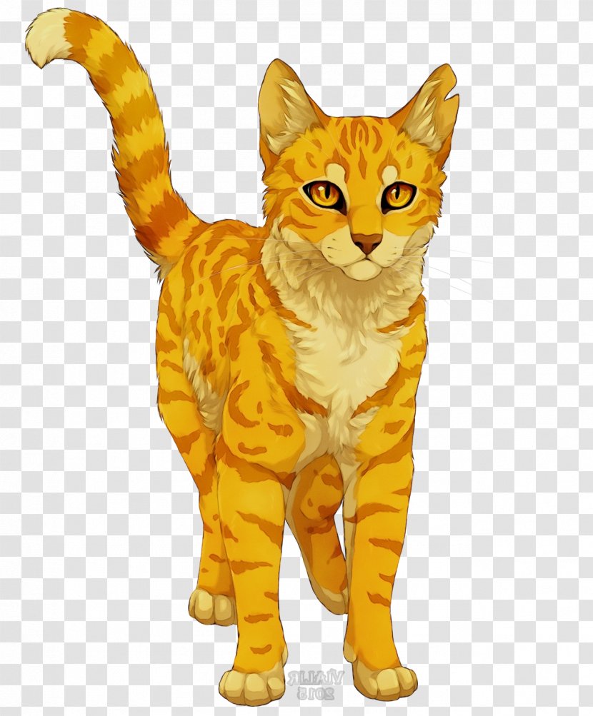 Cat Small To Medium-sized Cats Yellow Animal Figure Whiskers Transparent PNG