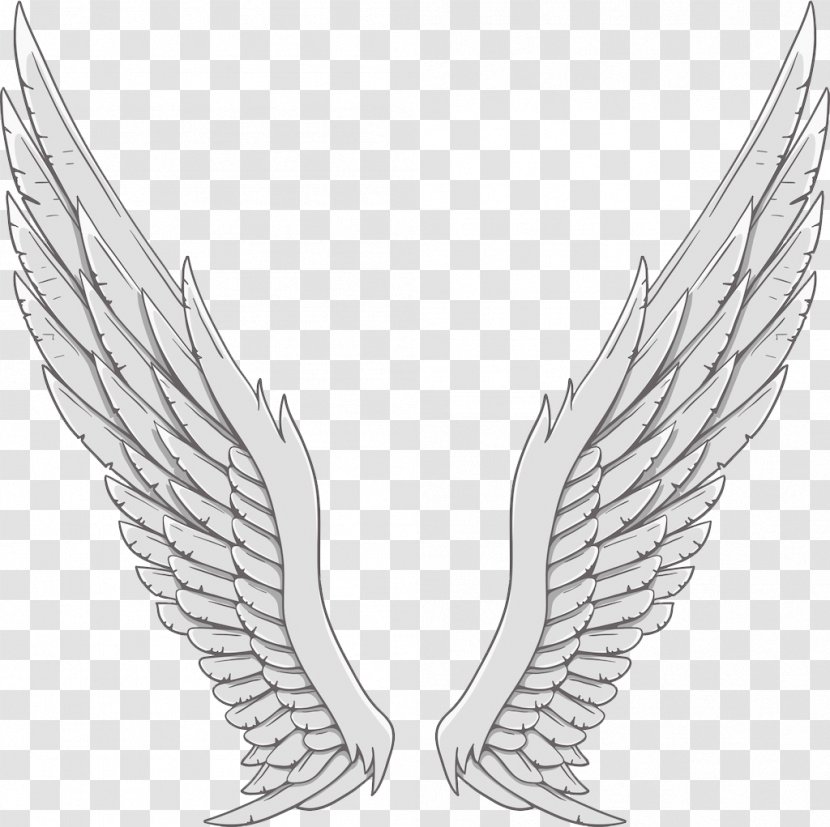 Angel Wing White - Monochrome Photography - Silver Wings Transparent PNG