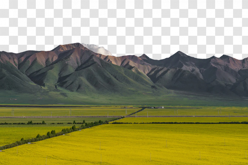 Mount Scenery Grassland Grasses Mustard Plant Steppe Transparent PNG