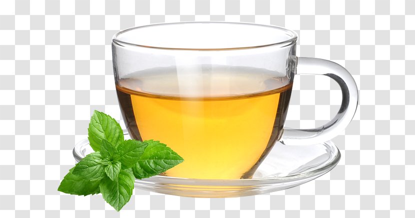 Earl Grey Tea Coffee Cup Green Mate Cocido Transparent PNG