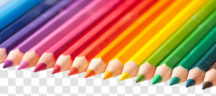 Colored Pencil Crayon - Color Pencils Transparent PNG