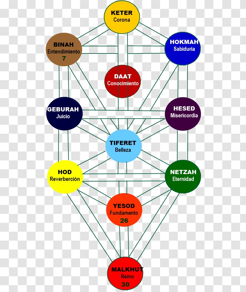 Diagram Tree Of Life Human Behavior Technology Point - Organization Transparent PNG