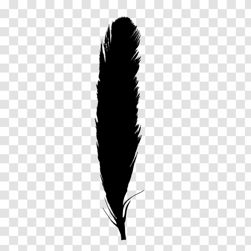 Black And White Monochrome Photography Feather - Silhouette Transparent PNG