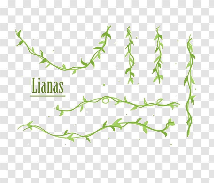 Vector Graphics Liana Clip Art Illustration Design - Text - Epilobium Transparent PNG