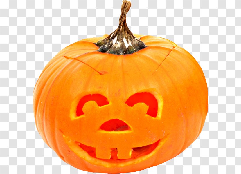 Pumpkin Jack-o'-lantern Gourd Cucurbita Pepo Transparent PNG