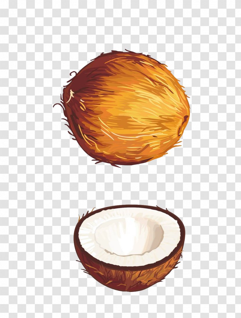 Fruit Coconut Euclidean Vector Illustration - Tropical Transparent PNG