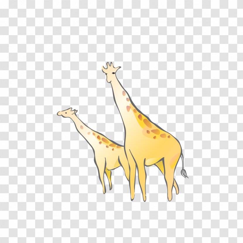 Northern Giraffe Cartoon Drawing - Vertebrate Transparent PNG