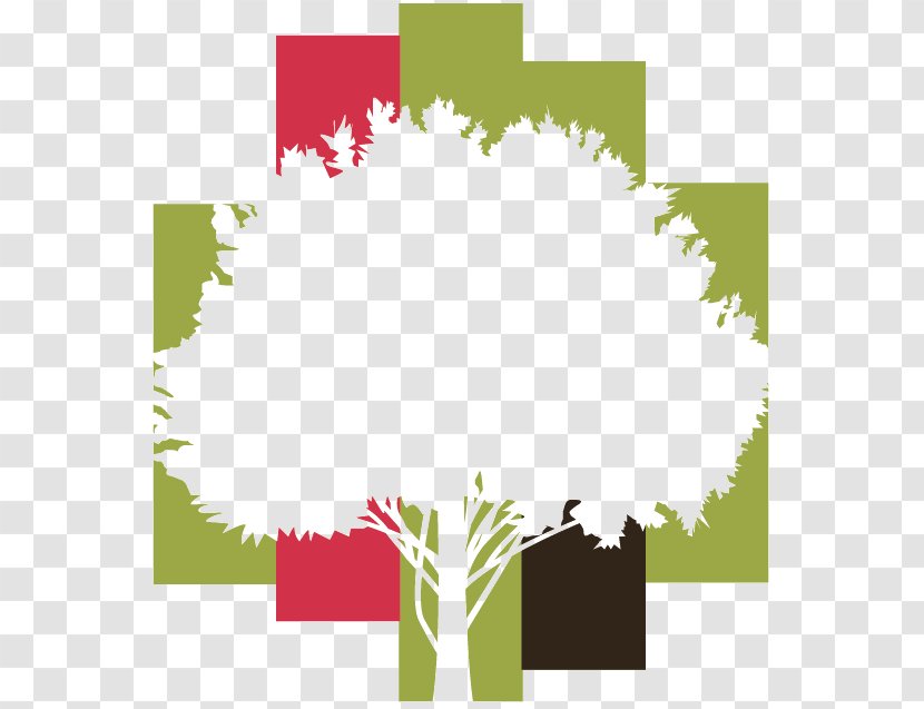 Tropical Forest Sustainable Management Logo Tree - Foret Transparent PNG