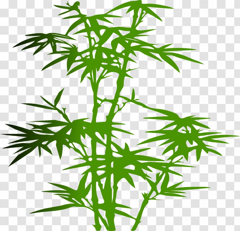 Bamboo Silhouette Clip Art - Plant Stem - Lush Transparent PNG