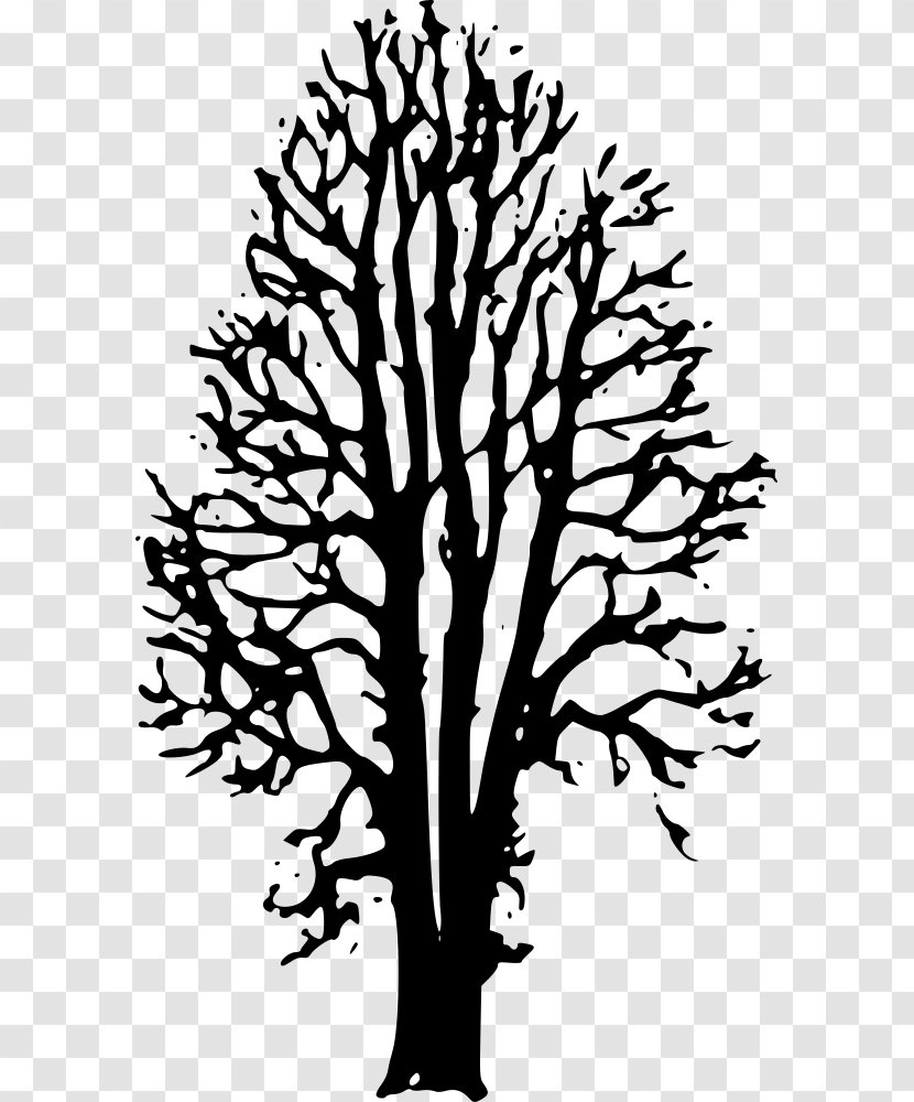 The Country Beyond Forests Ophelia: Afterworld Book One Tree Drawing - Monochrome Photography Transparent PNG