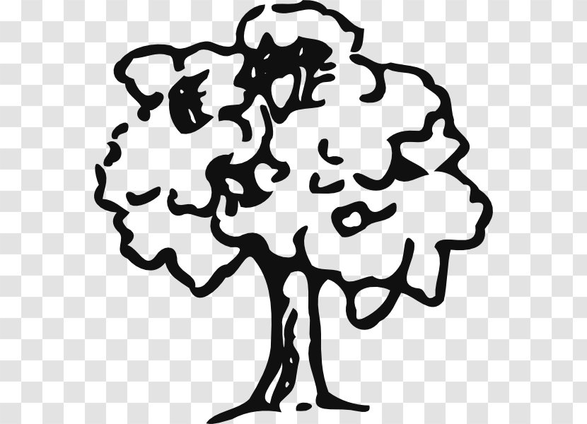 Tree Oak Drawing Clip Art - Black And White - Mahogany Clipart Transparent PNG