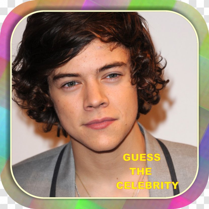 Harry Styles One Direction Celebrity United Kingdom Image - Watercolor Transparent PNG