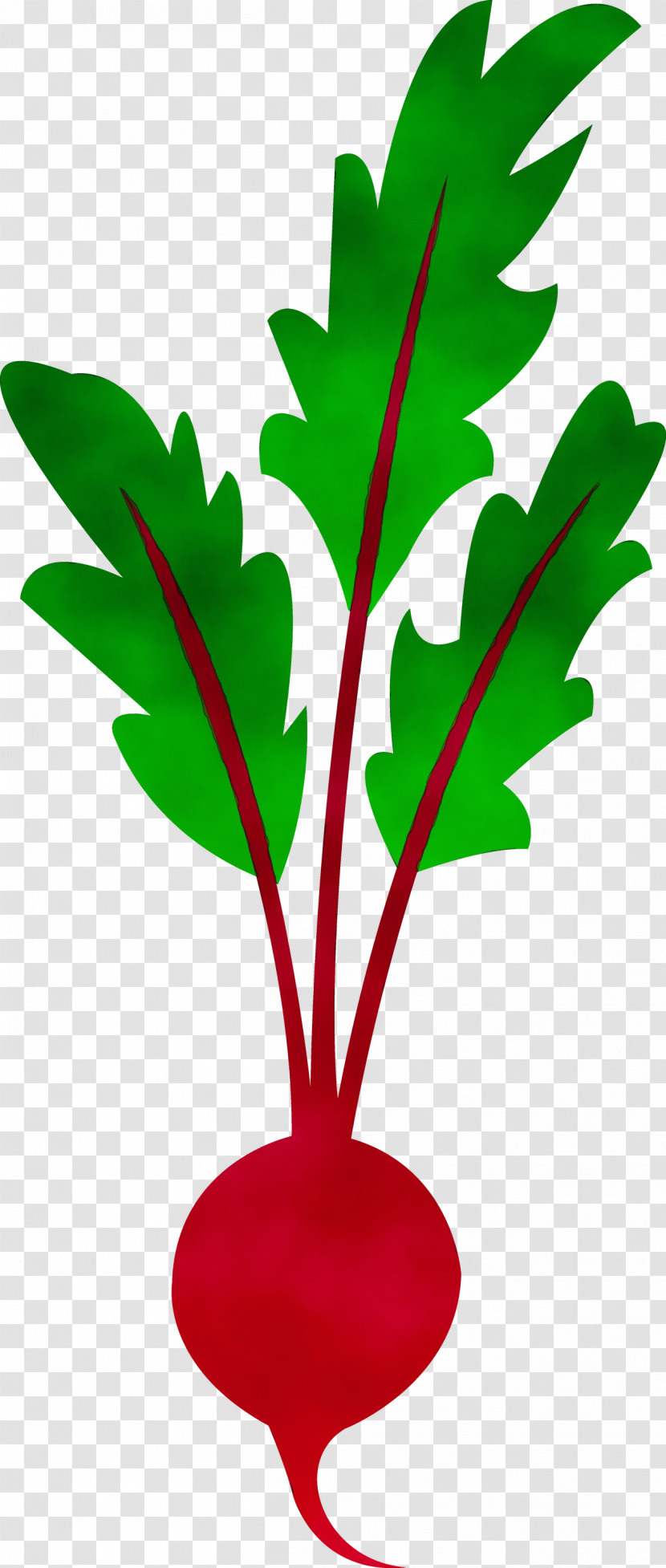 Beetroot Vegetable Juice Beetroot Soup Leaf Vegetable Transparent PNG