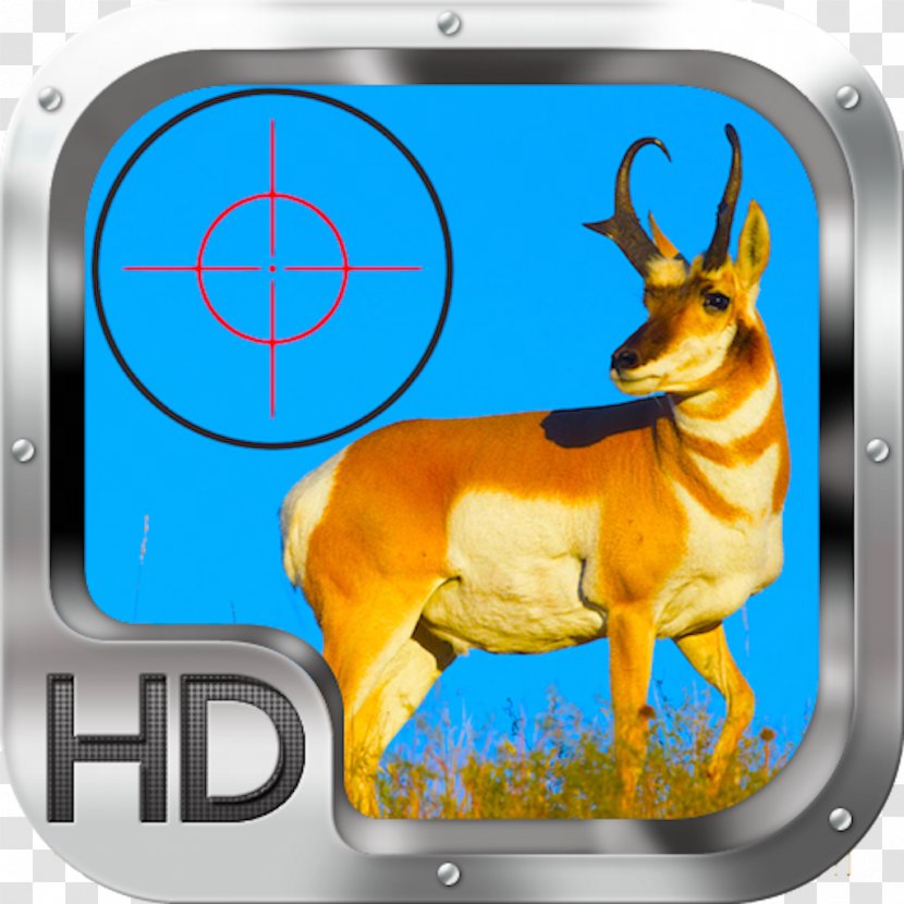 Pronghorn Antelope Deer Best Of The West Outfitters Hunting - Animal Transparent PNG