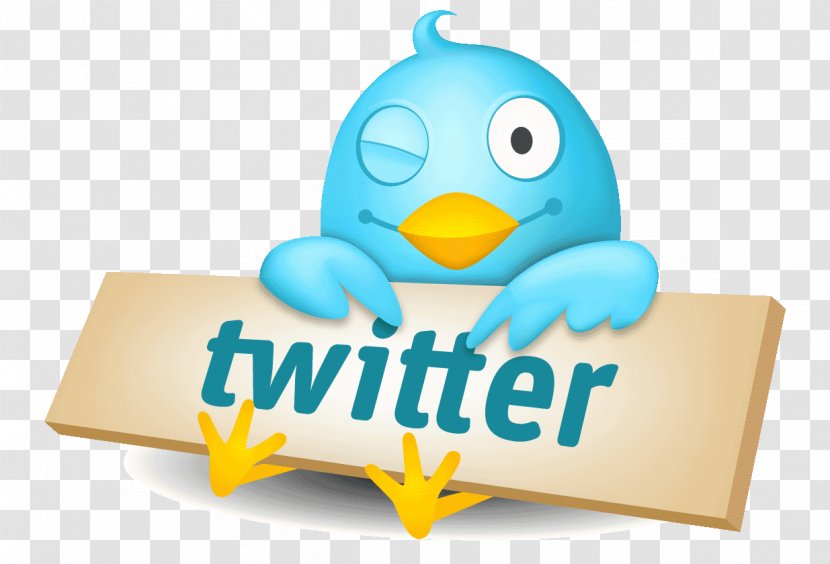 Social Media Twitter Logo Network Animation - English Language Transparent PNG