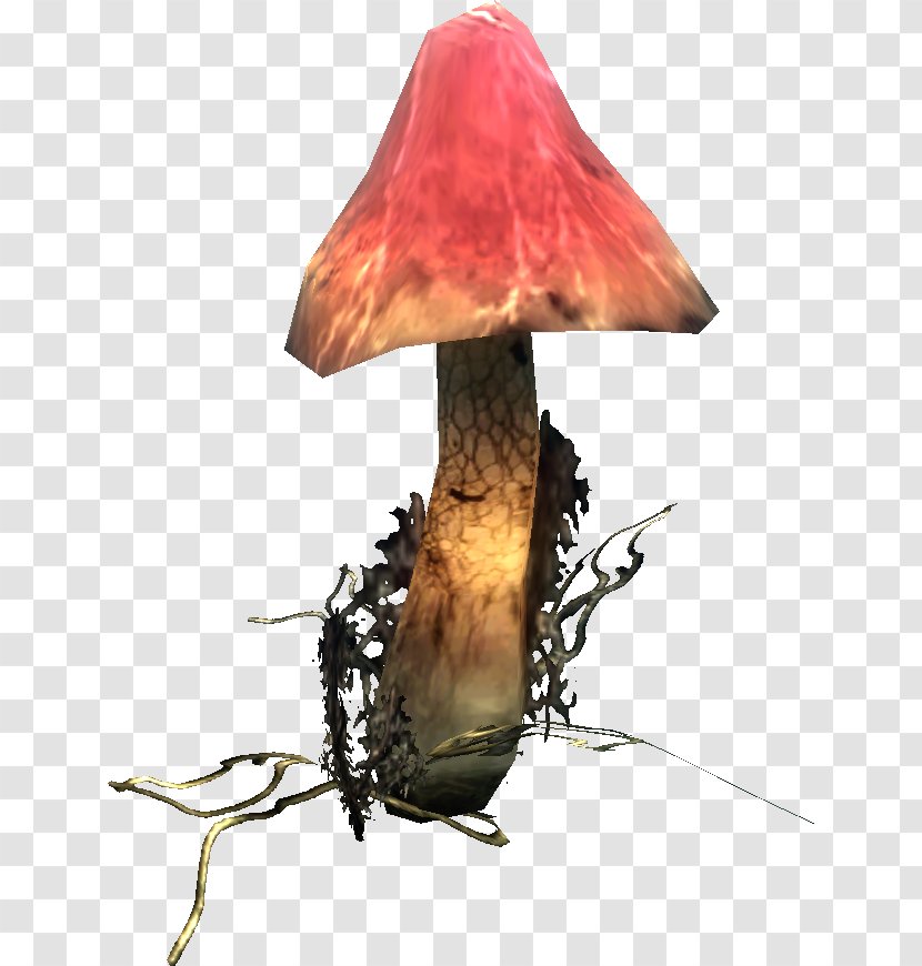 Fungus Risen Pileus Mushroom - Piranha Bytes - Grzyb Transparent PNG