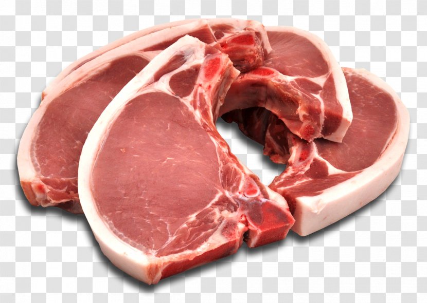 Domestic Pig Ham Pork Spare Ribs Meat - Frame Transparent PNG