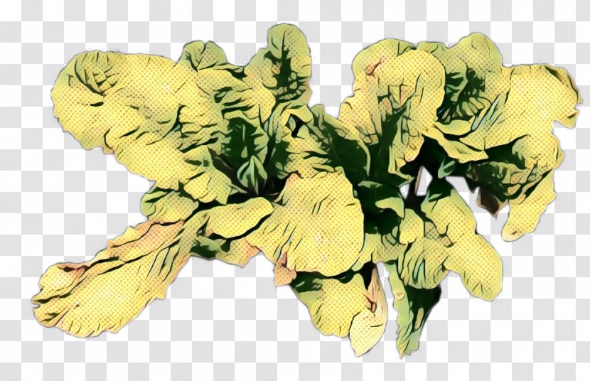 Flowers Background - Petal - Bouquet Monkshood Transparent PNG