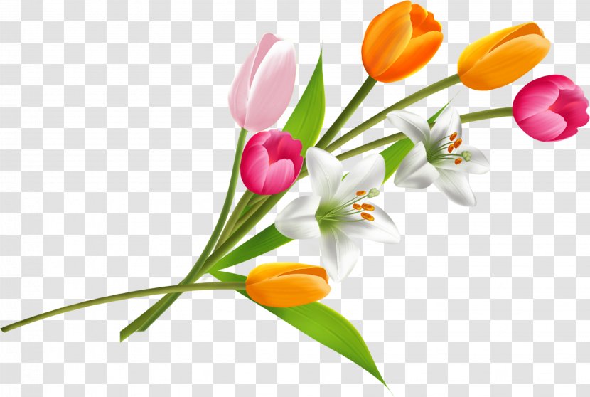Flower Bouquet Tulip - Spring Transparent PNG