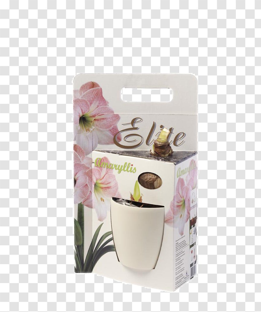 Coffee Cup Cafe Flowerpot Transparent PNG