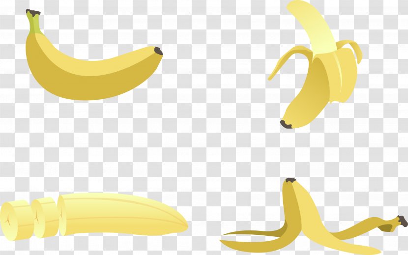 Banana Peel - Vecteur - Vector Transparent PNG
