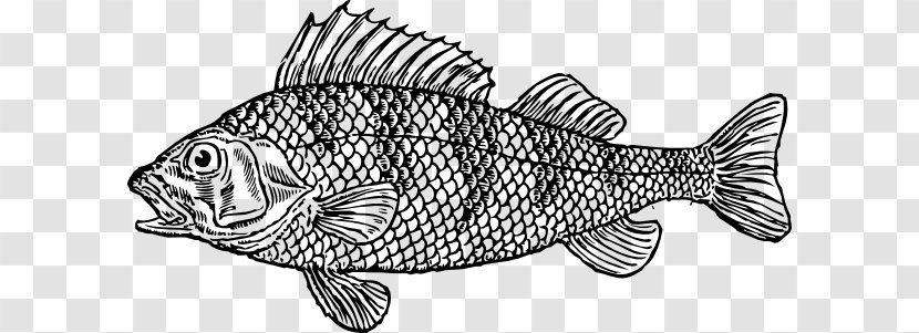 Koi Fish As Food Whitefish Clip Art - Black And White - Cliparts Transparent PNG