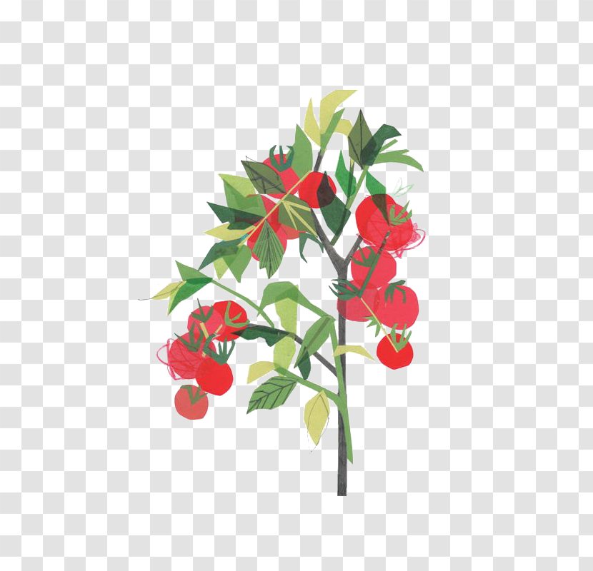 Tomato Clover Collage Illustrator Illustration - Flower - Cartoon Tomatoes Transparent PNG