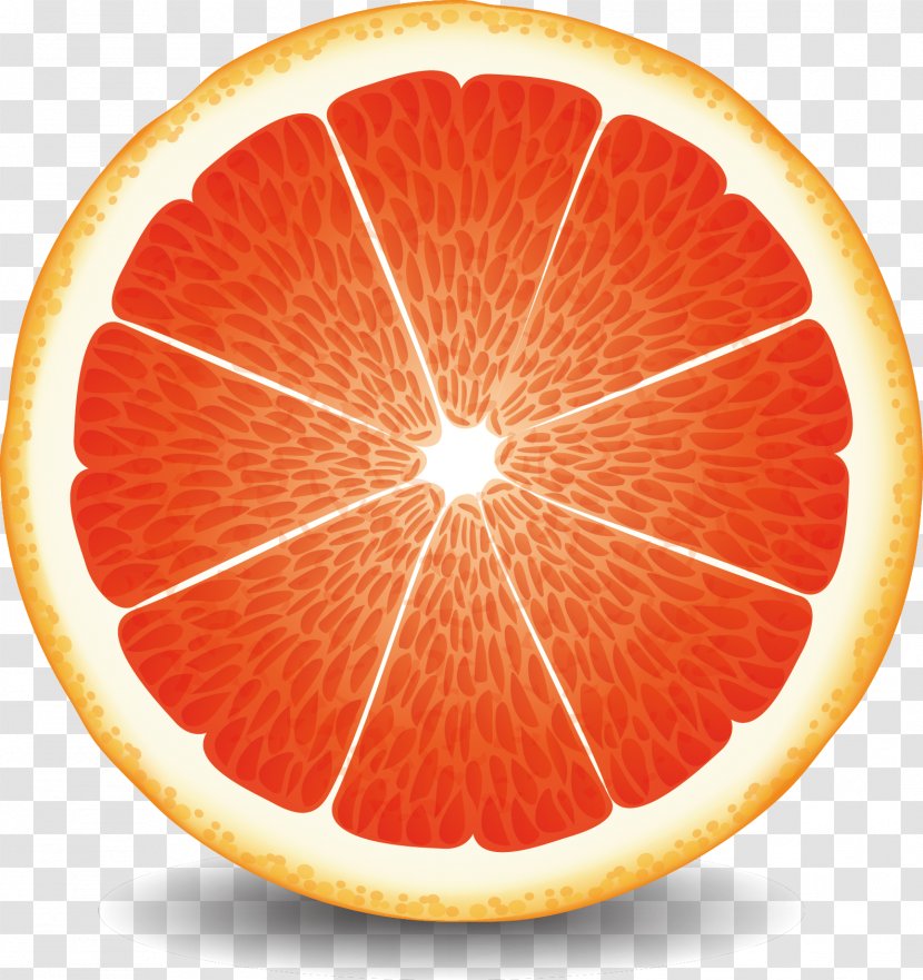 Grapefruit Juice Blood Orange Pomelo - Valencia - Vector Transparent PNG